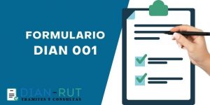 Formulario DIAN 001 2026 en PDF para imprimir